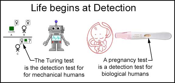 Life begins at Detection
